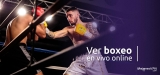 ¿Cómo ver Boxeo en línea gratis en 2025?